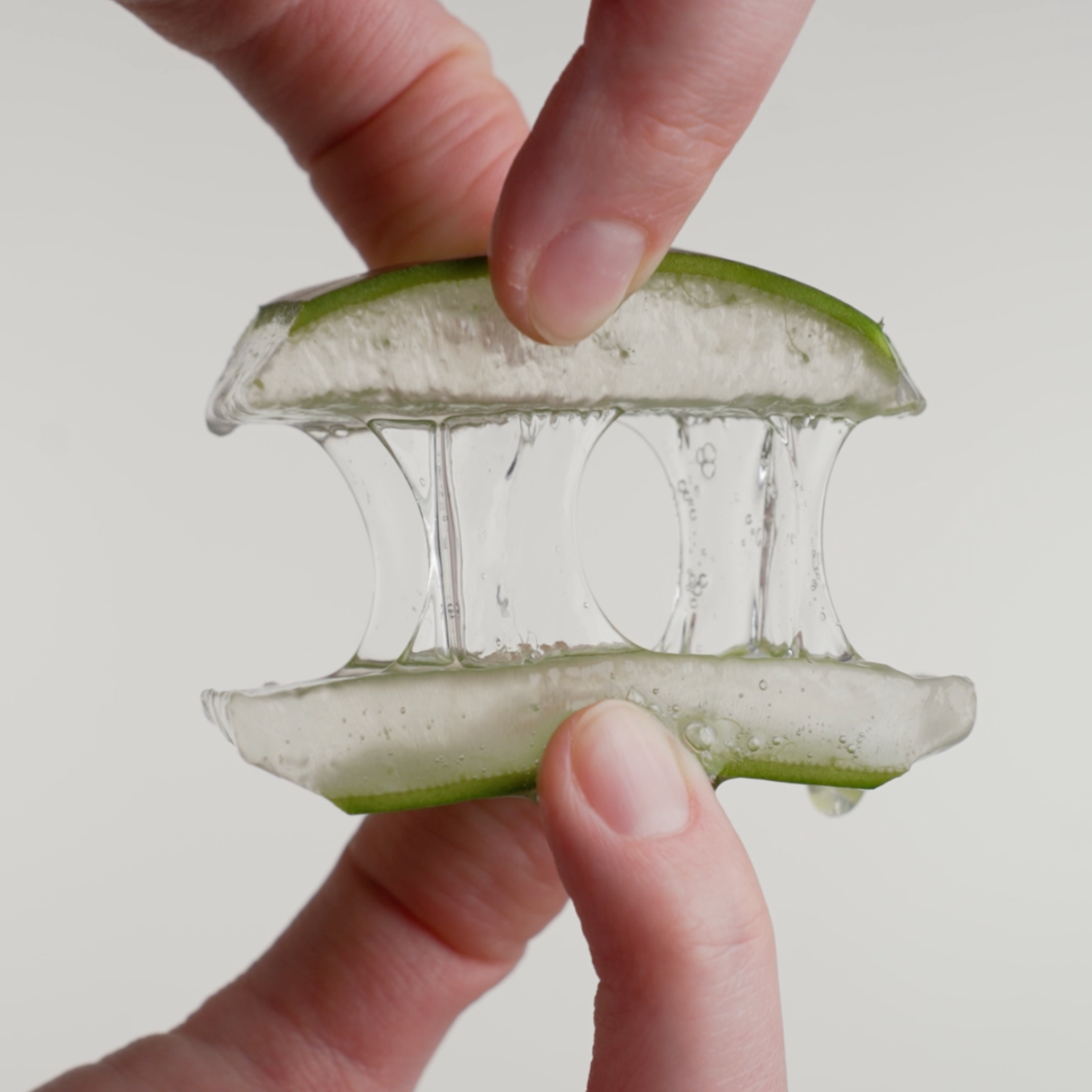 Aufnahme eines Aloe Vera Stücks, das von zwei Händen auseinander gezogen wird