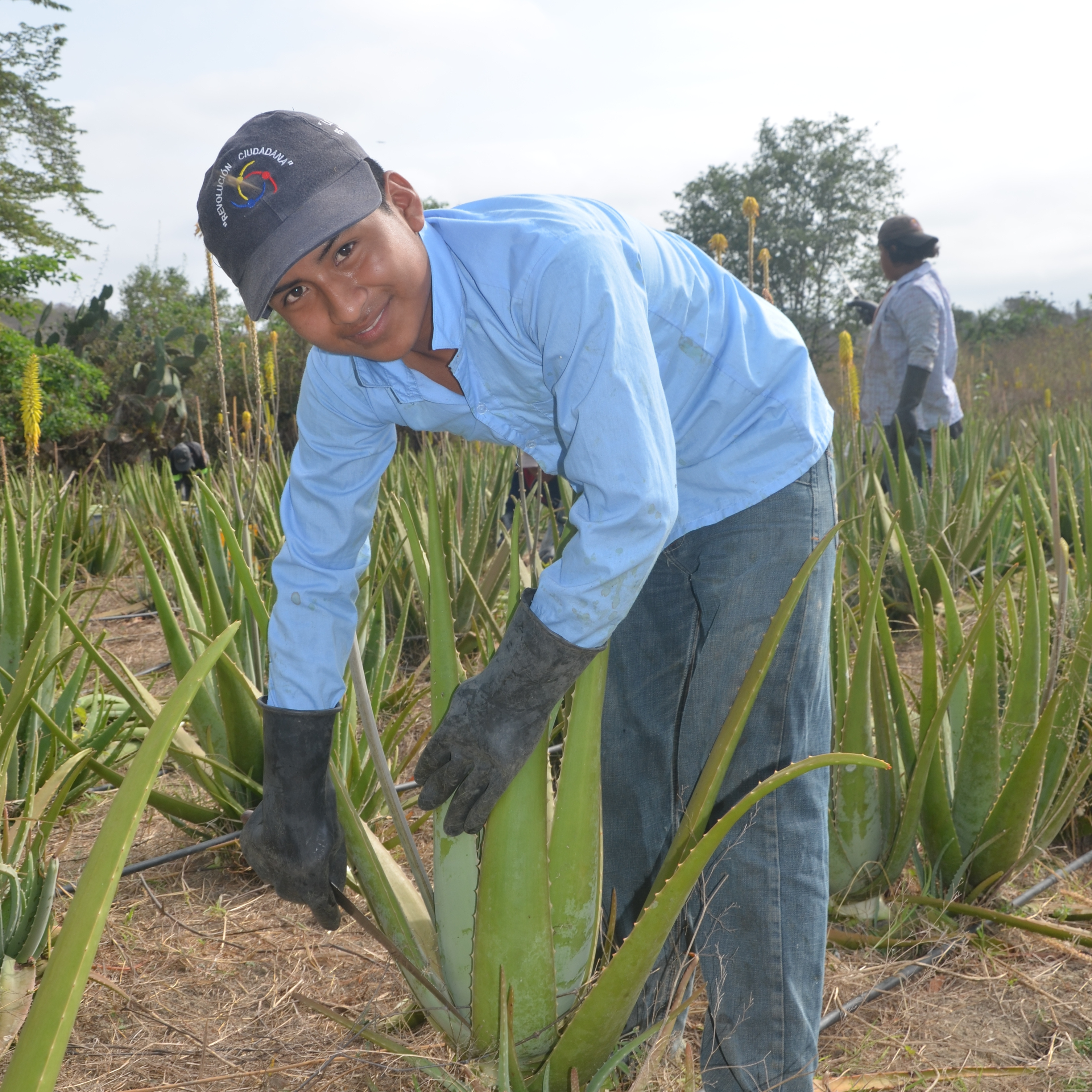 Portraitaufnahme eines Kleinbauern auf einer Aloe Vera Plantage in Mexiko