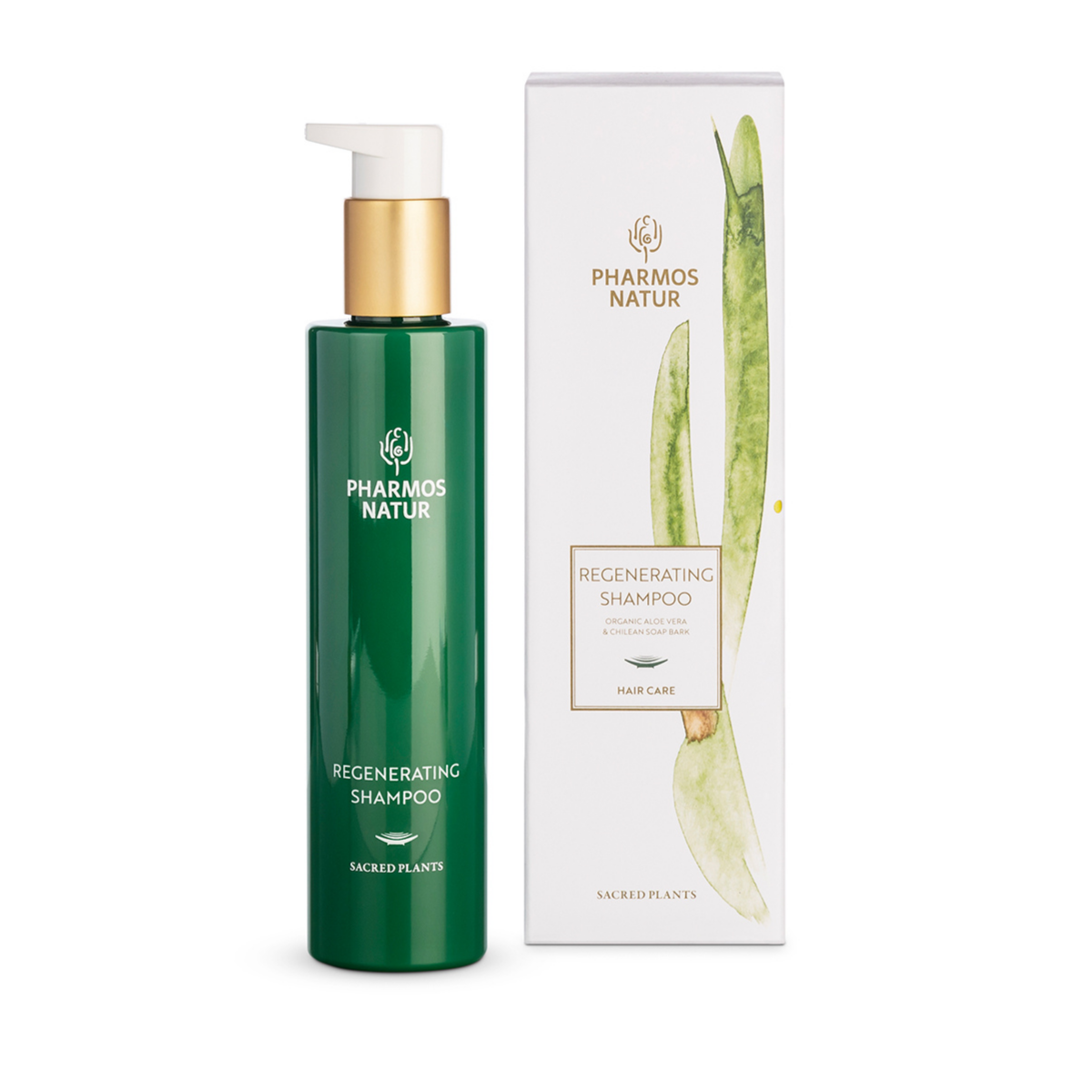 Regenerating Shampoo mit Bio Aloe Vera, Seifenrinde und Reisprotein für die Haarpflege