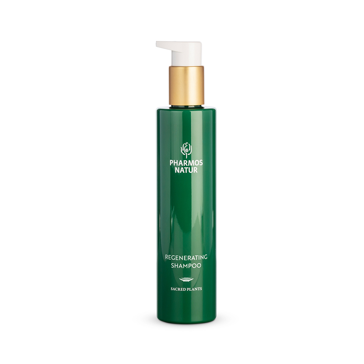 Regenerating Shampoo mit Bio Aloe Vera, Seifenrinde und Reisprotein für die Haarpflege