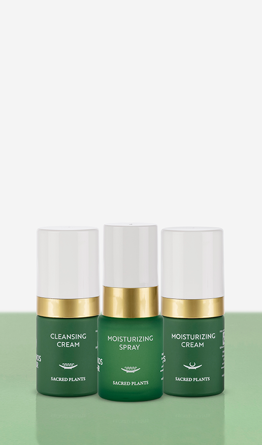 Moisturizing-Set Produkte und Verpackung auf grünem Untergrund