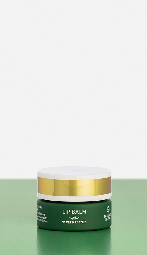 grüner Lip Balm Produktbild