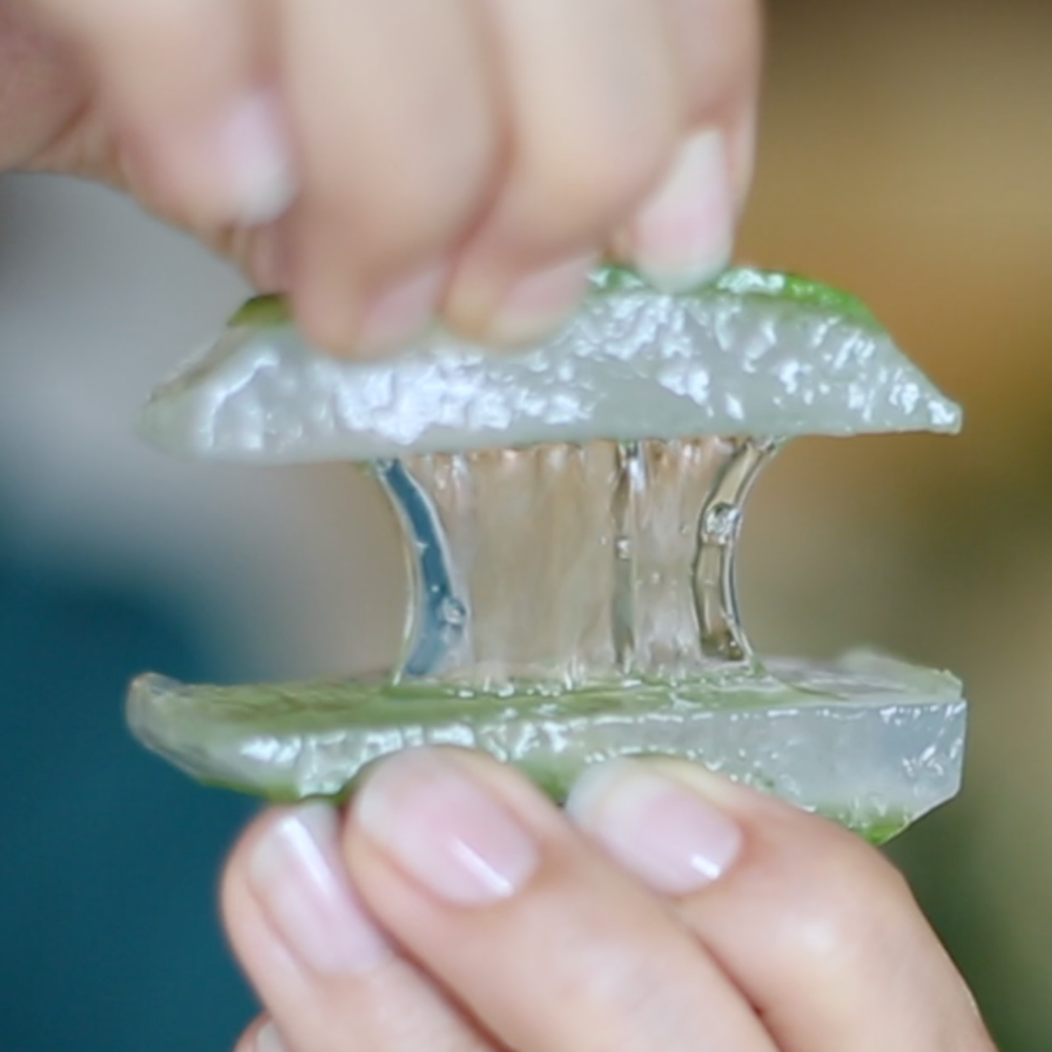 Aloe Vera BioUrsaft