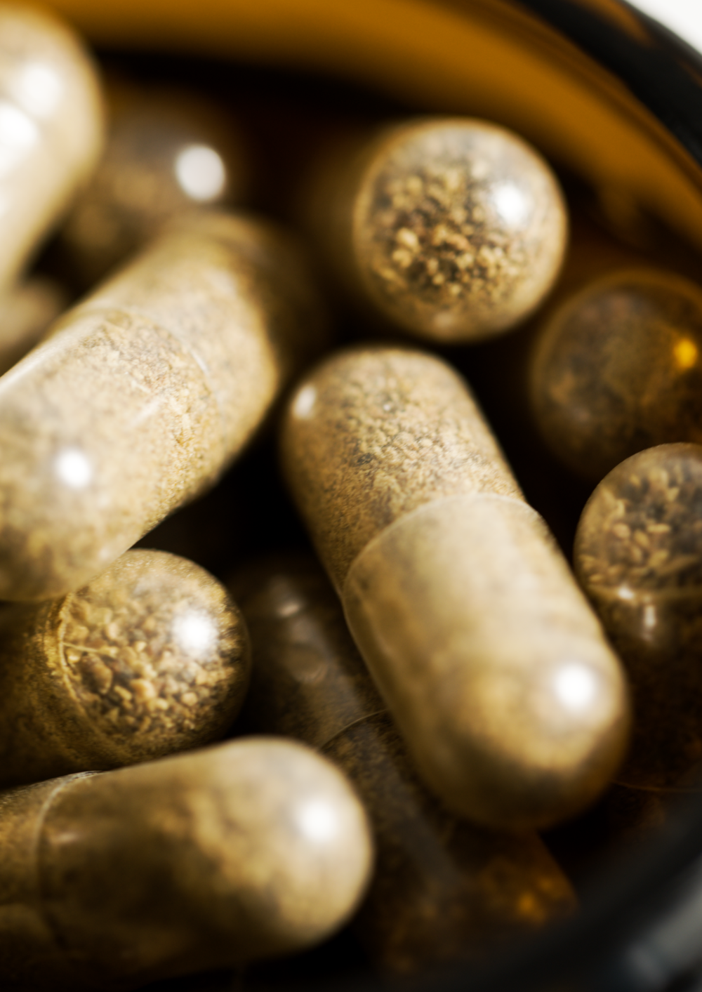Take Care – Schutz und Regeneration mit Pflanzenkraft | PHARMOS NATUR