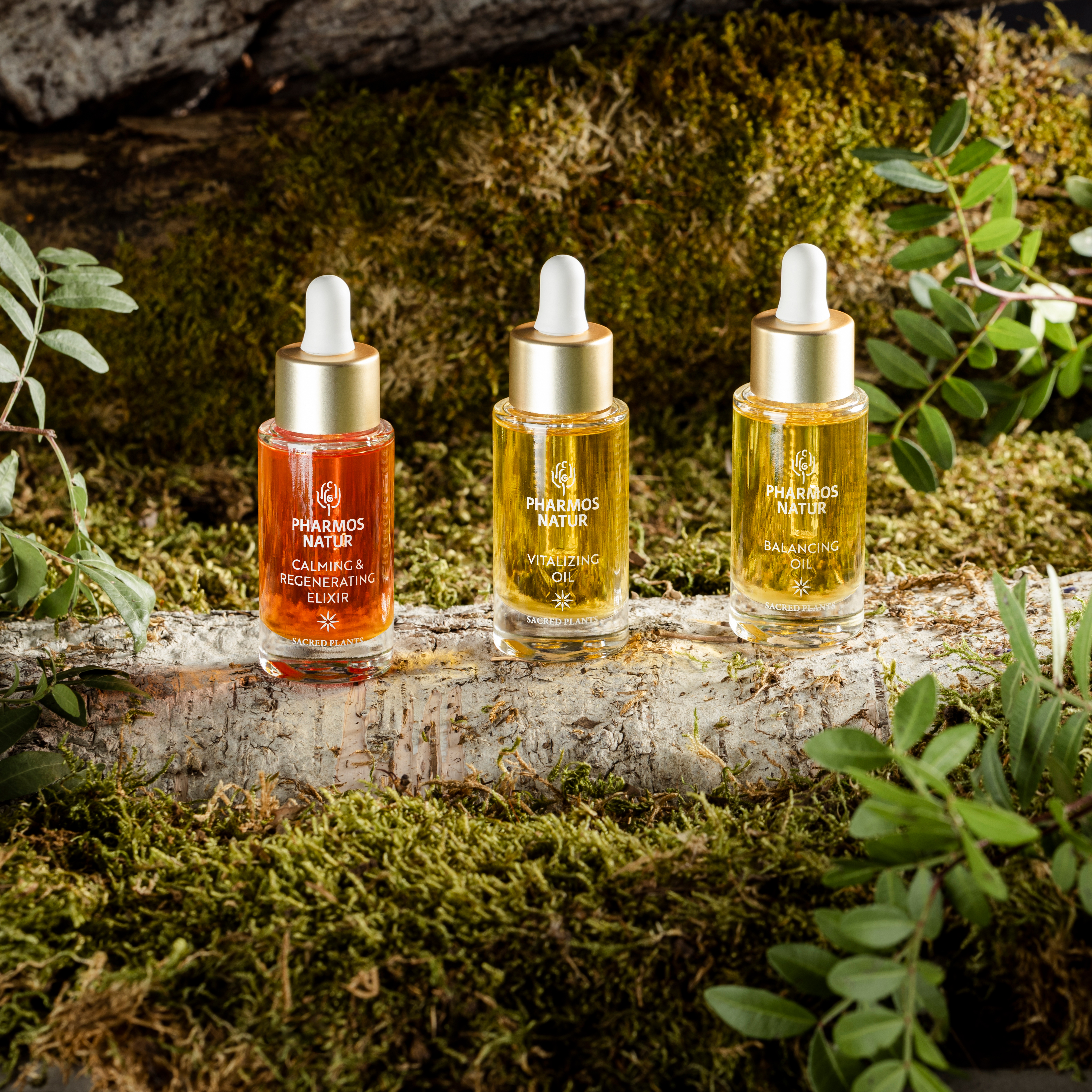 Drei Oil Seren auf einem Holzstamm mit Moos und Blättern