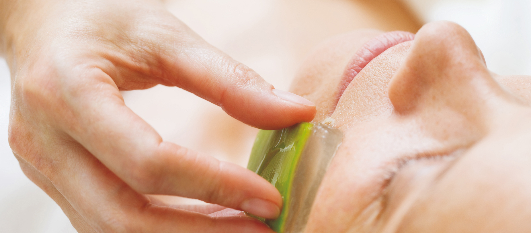 Behandlung Während einer Behandlung wird einer Frau eine Aloe Vera Scheibe im Gesicht, gegen die Backe gerieben