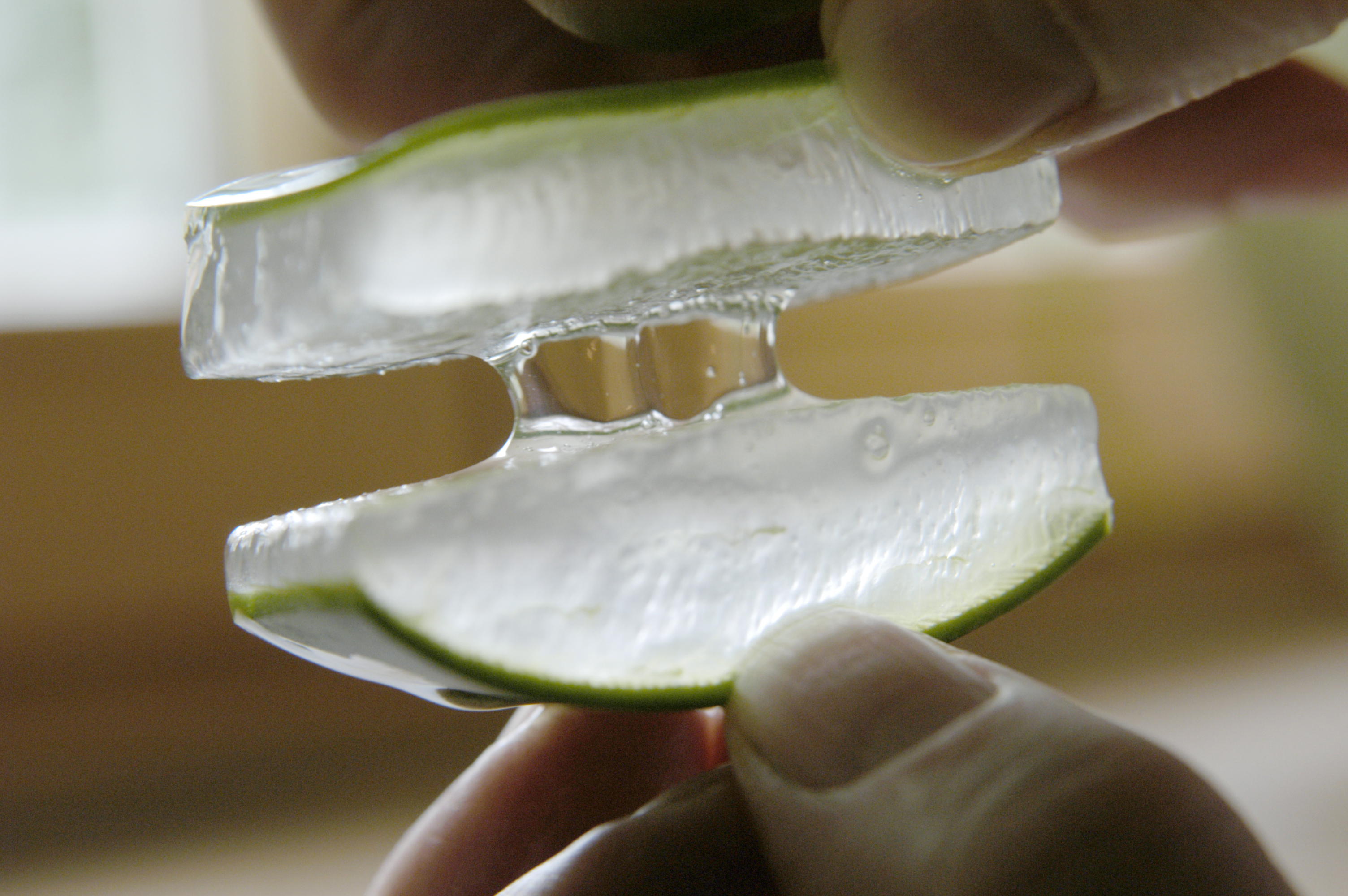 Aloe Vera Scheibe Gel Aloe Vera Scheibe mit Gel wird auseinander gezogen