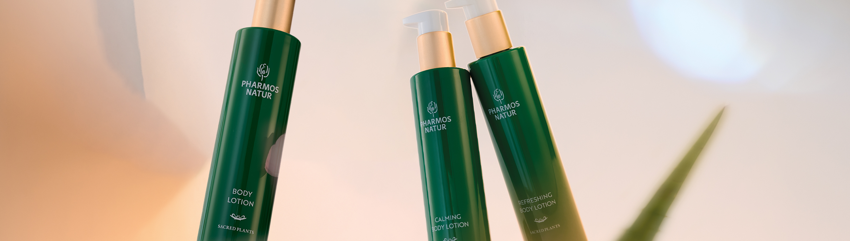 Neu: Unsere 2 Body Lotions