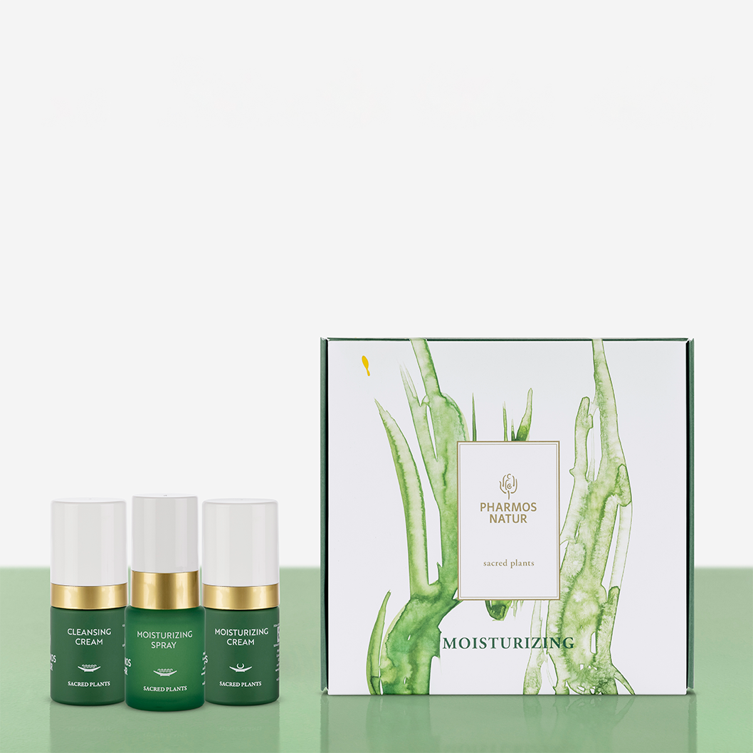 Moisturizing-Set Produkte und Verpackung auf grünem Untergrund