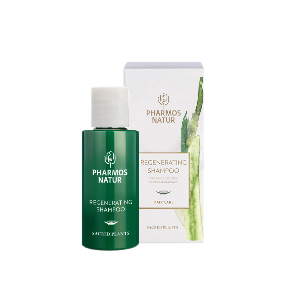 regenerating_shampoo