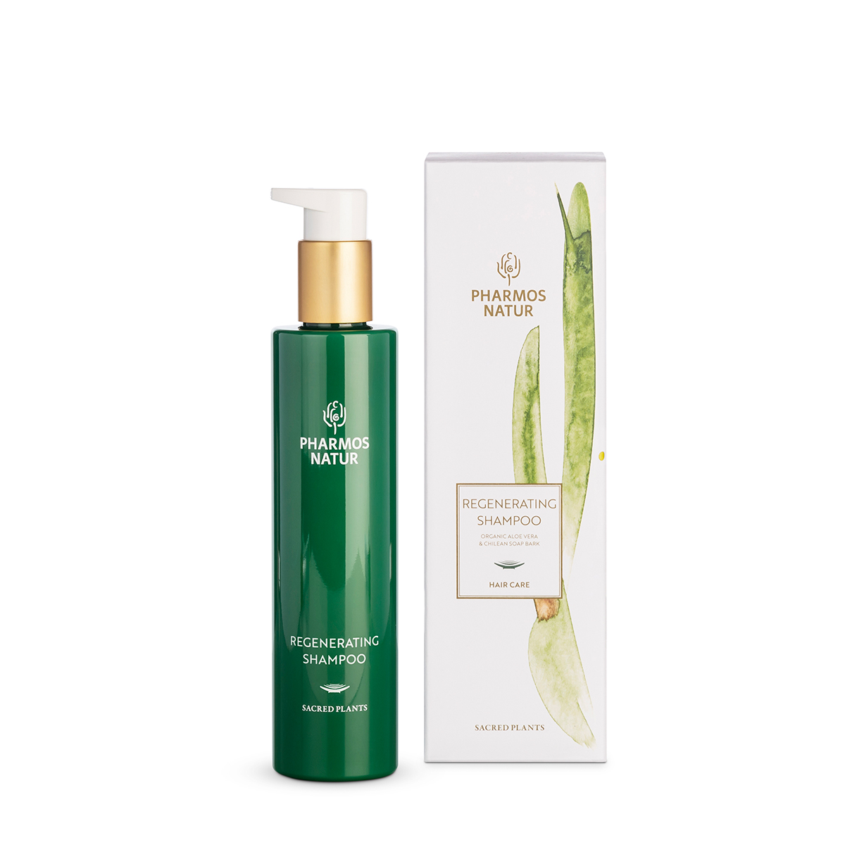 Regenerating Shampoo