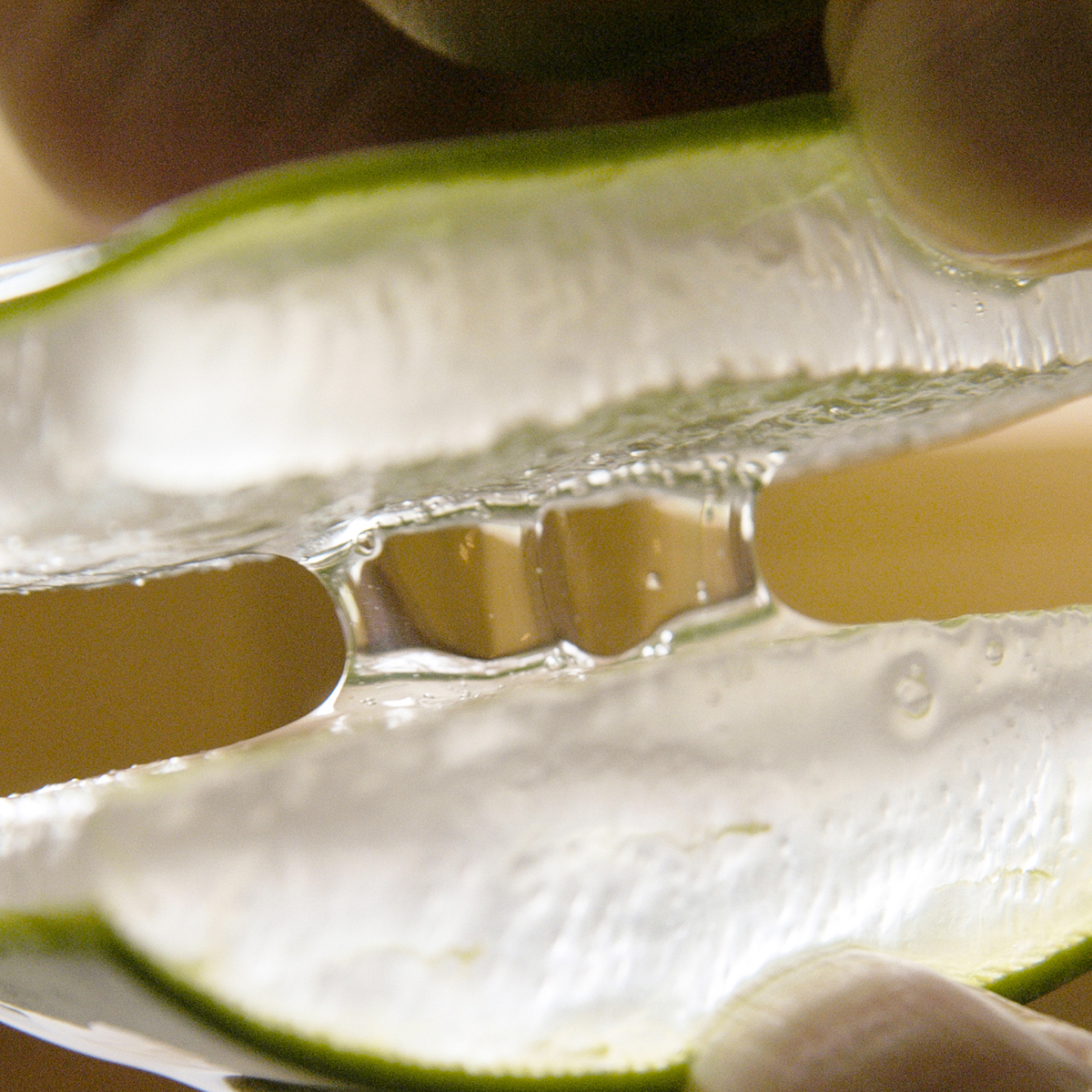 Natur, die wirkt. 40 Jahre Erfahrungswissen mit einer besonderen Aloe Vera